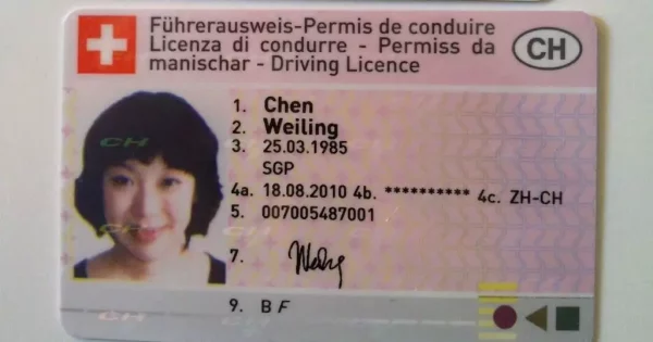 Schweiz Führerschein b